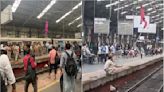 Mumbai News: Local Train Services At Churchgate Station Disrupted After Kid Throws Jacket On Overhead Wire; VIDEO Surfaces