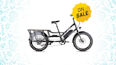 Rad Power Bikes Has Reduced Prices Off All of Its E-Bikes for 2024