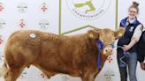'Balmoral Show is the biggest stage for farmers'