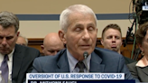 Jan. 6 rioter pulls faces behind Fauci as doctor tells Congress about death threats
