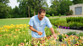 UT Gardens Jackson to host perennial and flowering shrubs sale - WBBJ TV