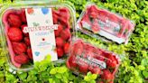 7-11推香水草莓 草莓季亮點搶先看