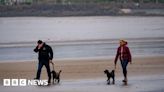 Sign banning Weston-Super-Mare dog walkers from beach was 'error'