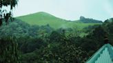 Ranipuram forest: a rich haven of rare mushroom diversity