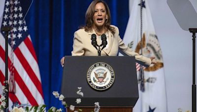 Kamala Harris condena la quema de la bandera de EE.UU. en la protesta contra Netanyahu