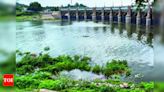 Water level in Mettur dam reaches 103ft milestone | Coimbatore News - Times of India