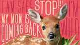 Leave Wildlife Babies Alone | Z100 Portland | Portland Local News