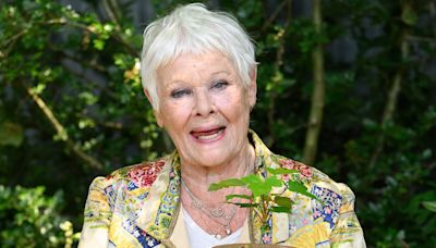 Dame Judi Dench to join Extinction Rebellion march