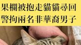 果欄被抱走貓貓成功尋回 警拘兩名非華裔男子