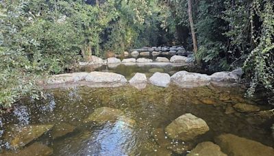 Barrier removal project at Co Wicklow’s Ballinglen River completed