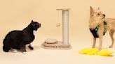 Pet Awards 2023: The best toys and apparel for cats and dogs