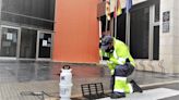 El mosquito tigre afecta a ocho de cada diez municipios valencianos