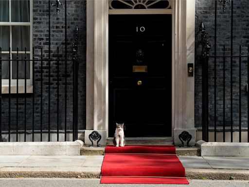 傳德牧入主英相府！第一貓賴瑞將搬離 英網炸鍋：拜託哪都別去