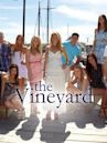 The Vineyard