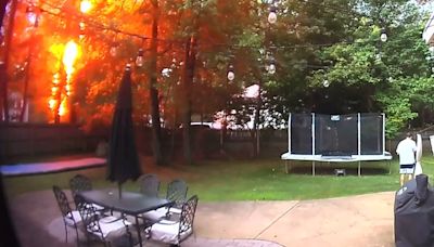 Watch: New York man, dog narrowly escape danger as lightning strikes backyard tree