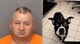 Hombre de Florida arrestado por decapitar a perro que acababa de adoptar y arrojarlo en un parque - La Noticia