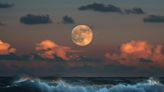 Conozca por qué la Luna incide en las mareas terrestres; todo es cuestión de física
