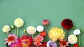 50 flower quotes that spread a little sunshine