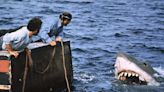 Tiburón: Steven Spielberg todavía se arrepiente de contribuir al pánico contra los animales
