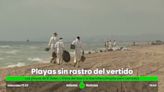 Se investigan los buques de la zona del vertido que mantiene cerradas tres playas en Valencia