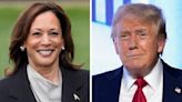 Harris leading Trump in New Hampshire by 4 points: Survey