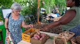 Food as medicine? Acadiana doctors to start prescribing fruit and veggies