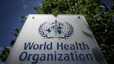 International Court Adds World Health Organization To Climate Change Opinion