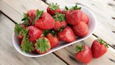 British strawberries delayed but will be ‘worth the wait’, say producers