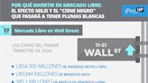 Por qué invertir en Mercado Libre: el efecto Milei y el "cisne negro" que pasará a tener plumas blancas