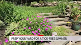 6 On Your Side: Consumer Confidence, prep your yard for a tick-free Summer