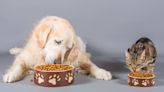 6 infants sickened in salmonella outbreak linked to dog and cat food