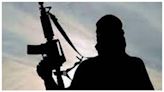 35-40 foreign terrorists active in Jammu, security forces on high alert: Report