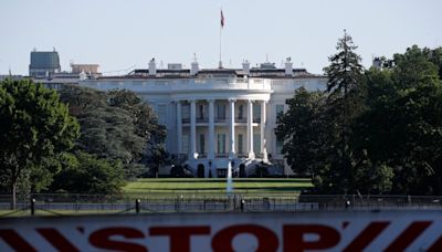 Driver dies crashing into White House gates: authorities