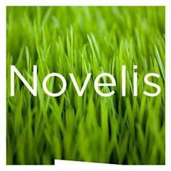 Novelis