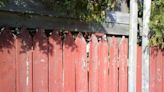 Can YOU spot the cat hidden in this optical illusion image of a fence?