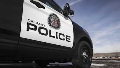 Calgary woman facing criminal charge after dog left in hot car dies