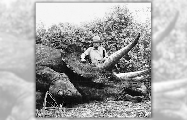 Fact Check: Theodore Roosevelt Supposedly Posed for Photo with Last Known Triceratops. Here Are the Facts