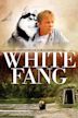 White Fang (TV series)
