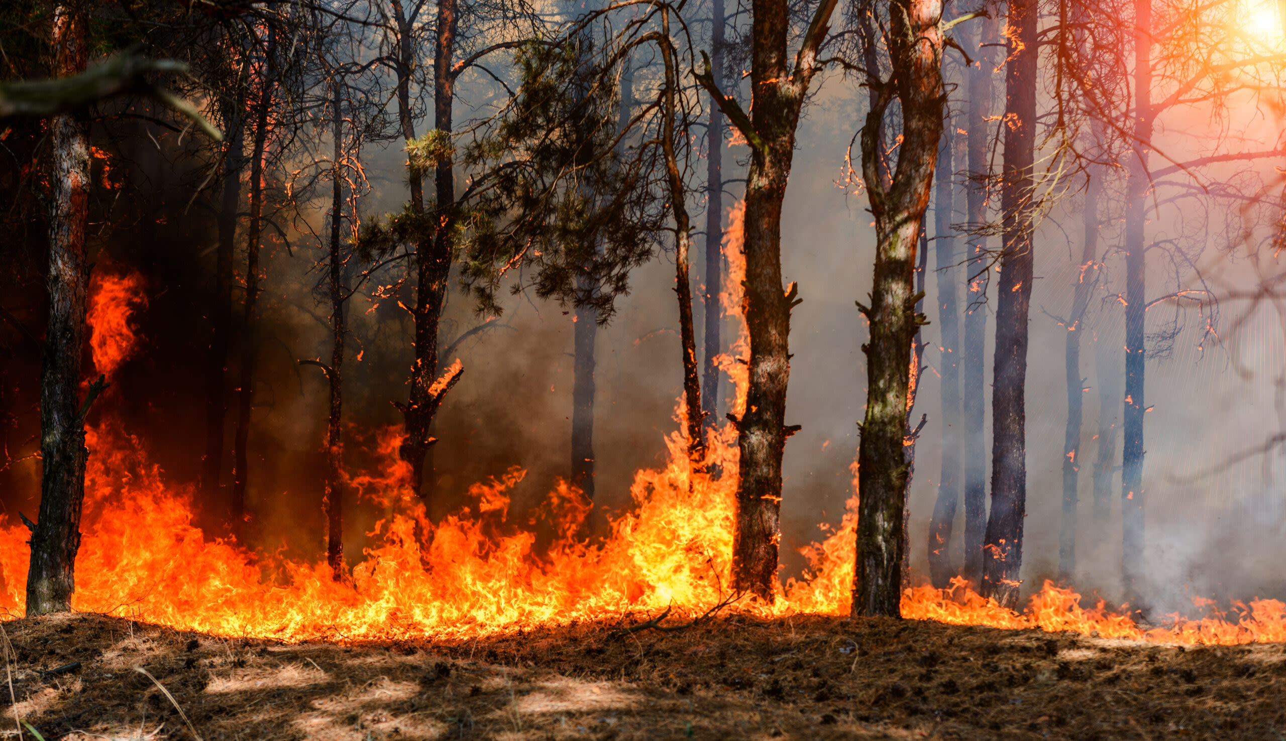 Wildfire Threats Make Utilities Uninsurable in U.S. West