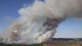 Trasladan desde Sevilla dos brigadas de bomberos forestales al incendio de Cerro Muriano