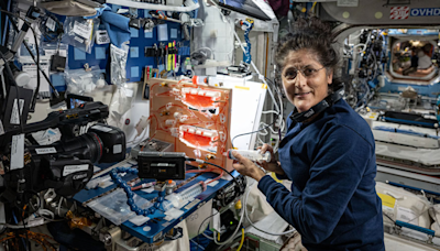 NASA Astronaut Sunita Williams Undergoes Eye Scan On ISS Amid Her Uncertain Return