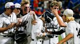Willard baseball coach turned to his son for pinch hit game-winner in state championship