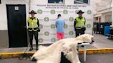 ¿Qué hacía una piel de oso polar en un mercado en Colombia?