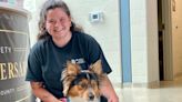 Washington County humane society has full shelter; seeing more pets surrendered