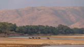 As a Black American Who Had Never Been On Safari, I Had Doubts — but a Trip to Zambia Changed My Mind