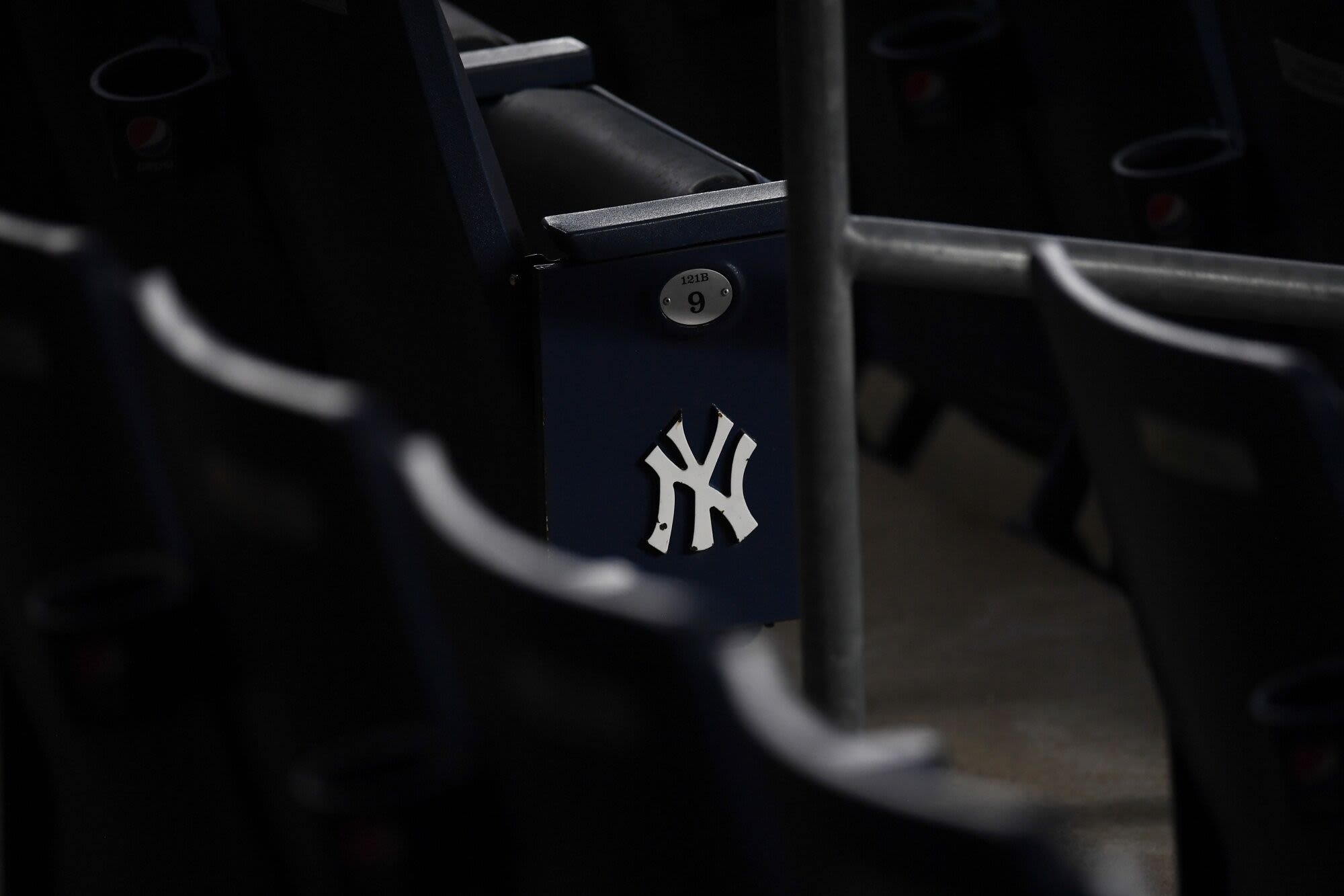 Yankees Holder Ray Chambers Weighs Selling Stake in NY Team