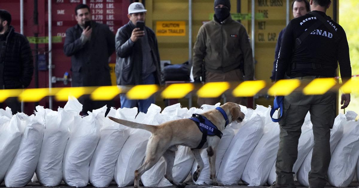 4 tons of cocaine found hidden in sugar in biggest bust in Paraguay's history