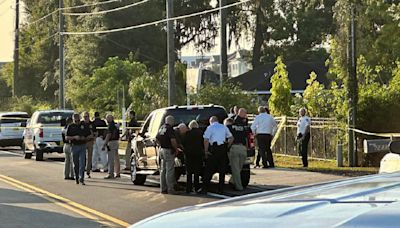Sheriff: Deputies shoot, kill armed, erratic man in Plant City