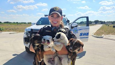 Eight puppies abandoned in dangerous heatwave are rescued by police