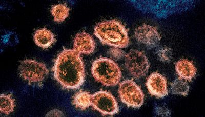 Ohio COVID-19 cases down for 6th straight week: Coronavirus update for Thursday, March 28, 2024